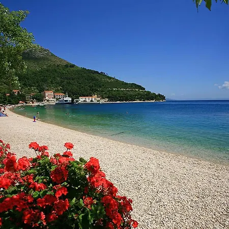 On The Beach-drvenik Drvenik (Split-Dalmatia)